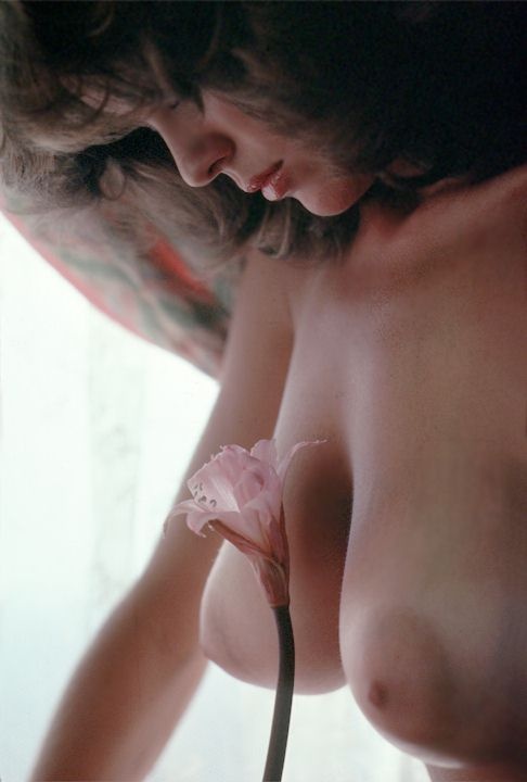 Erotic photo #127454