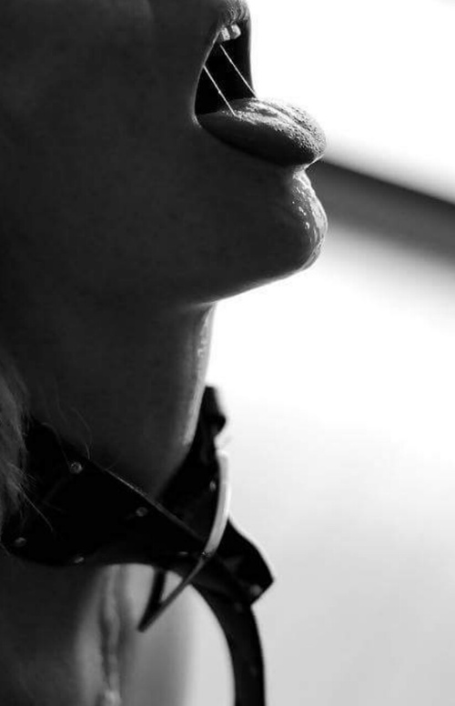 Erotic photo #155222