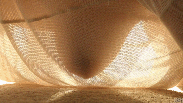 Erotic photo #156189
