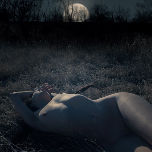 Erotic photo #158446