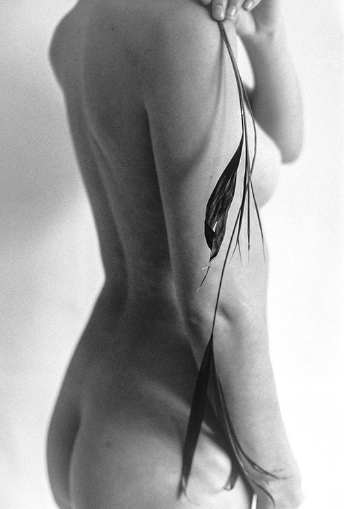Erotic photo #161931