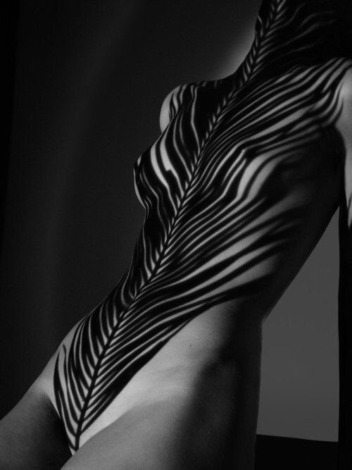 Erotic photo #162680