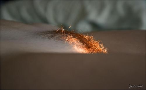 Erotic photo #132249