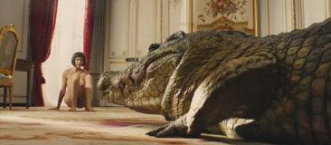 Erotic photo #142288