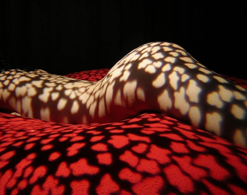 Erotic photo #151423
