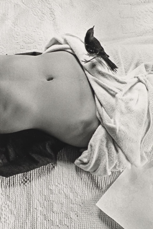 Erotic photo #153444