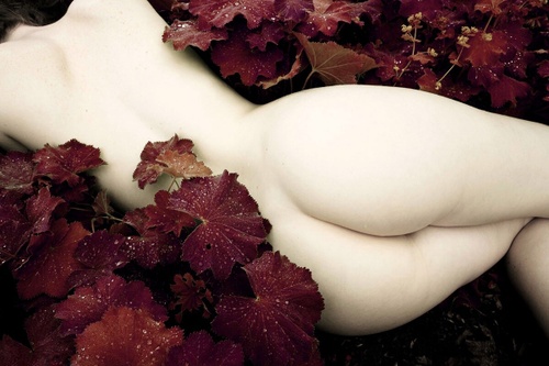 Erotic photo #200871
