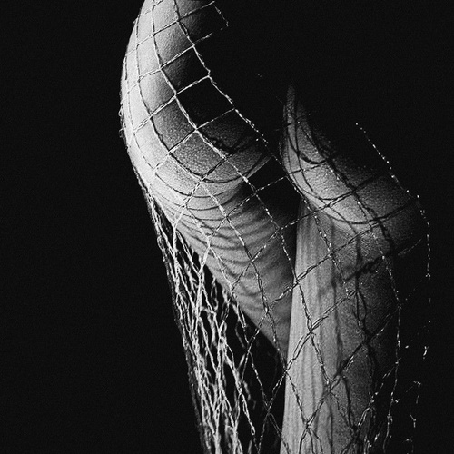 Erotic photo #206284