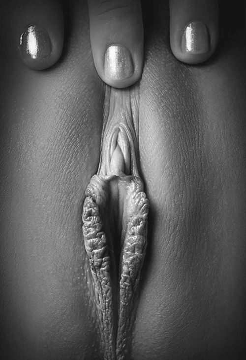 Erotic photo #171408