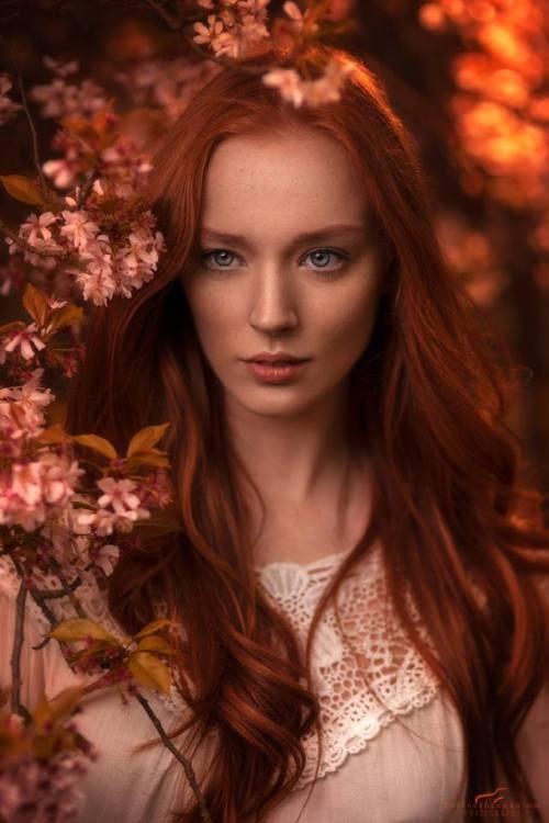 Erotic photo #184790