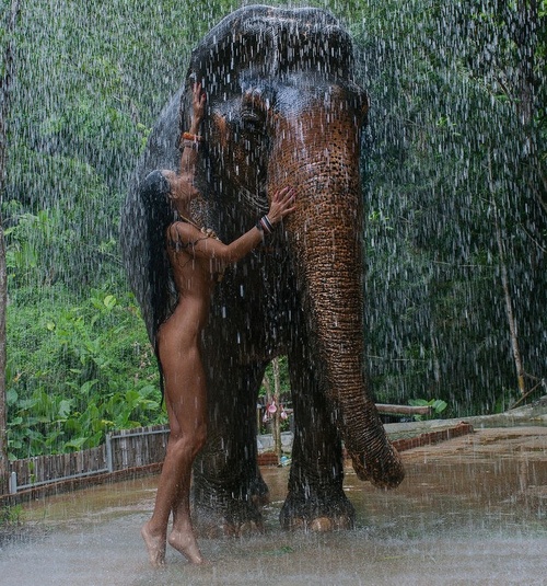 Erotic photo #399648