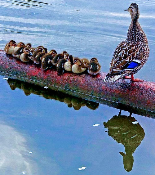 Erotic photo #281839