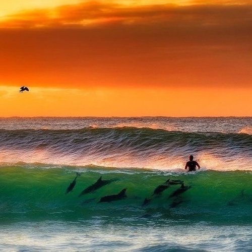 Erotic photo #285633