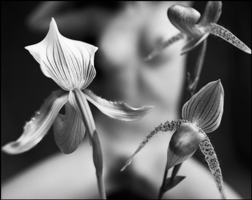 Erotic photo #289159