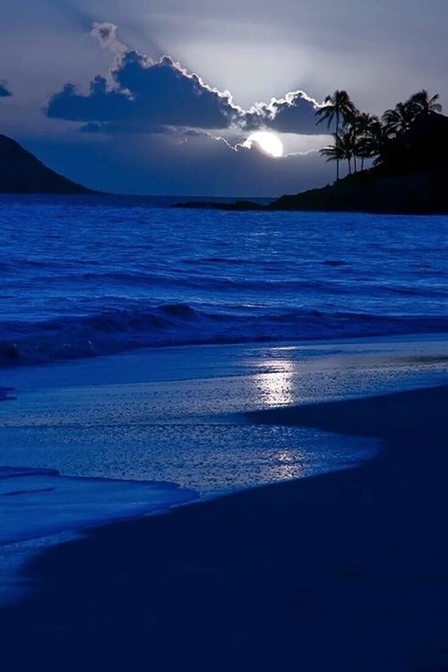 Erotic photo #304906