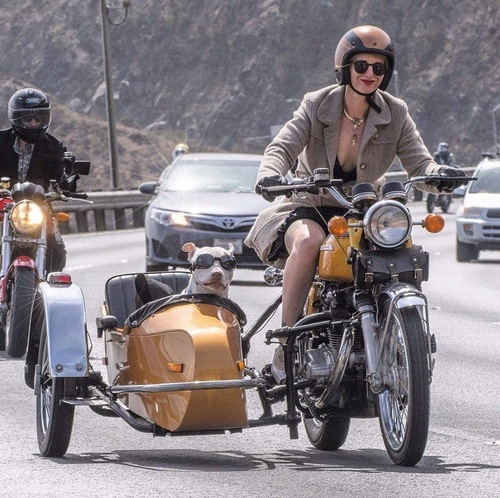 Erotic photo #327361