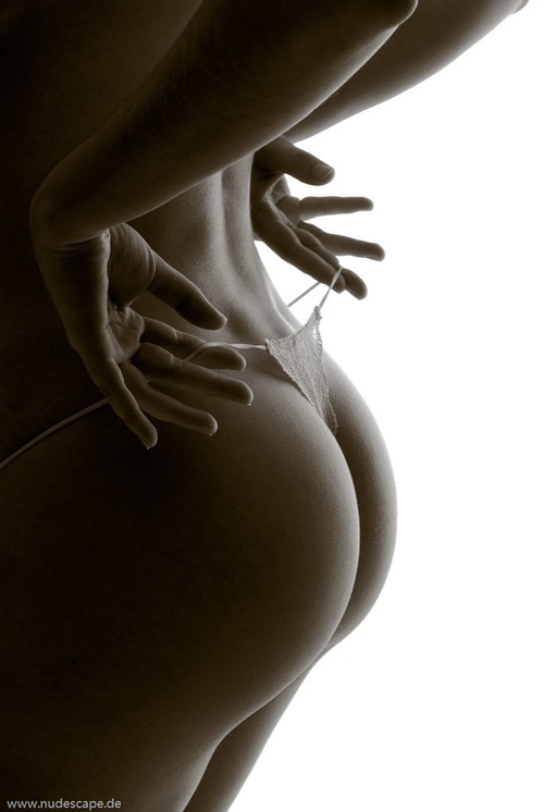 Erotic photo #330142