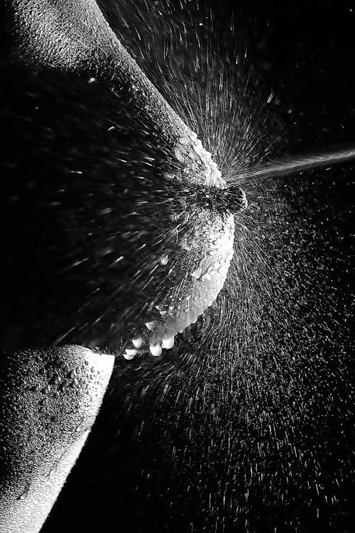 Erotic photo #348197