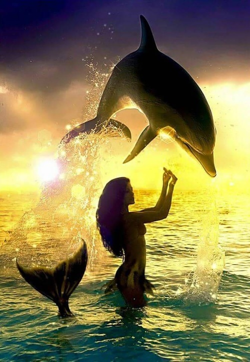 Erotic photo #338729