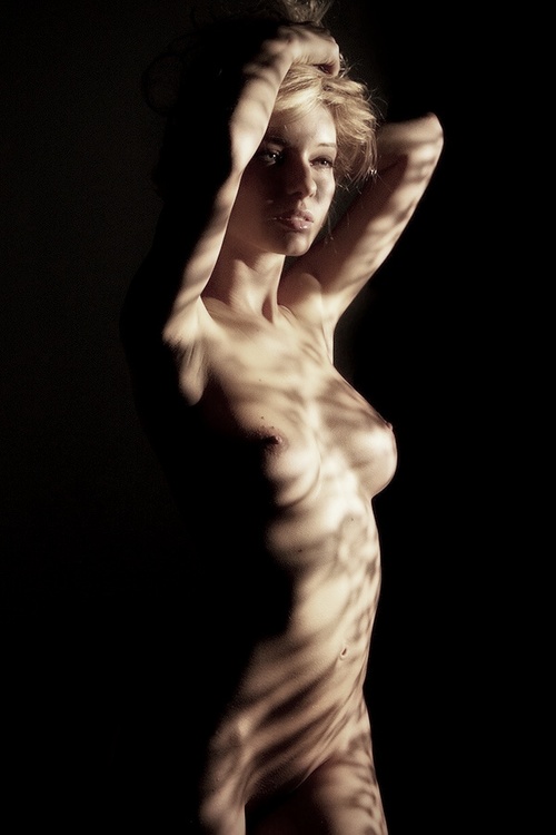Erotic photo #339794