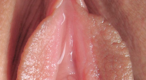 Erotic photo #341402