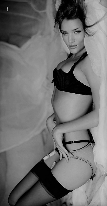 Erotic photo #365509