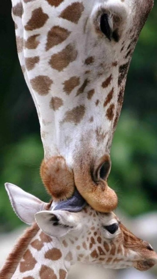 Erotic photo #366689