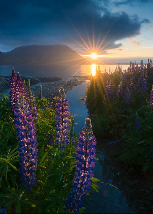 Erotic photo #366997