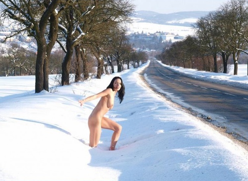 Erotic photo #528802