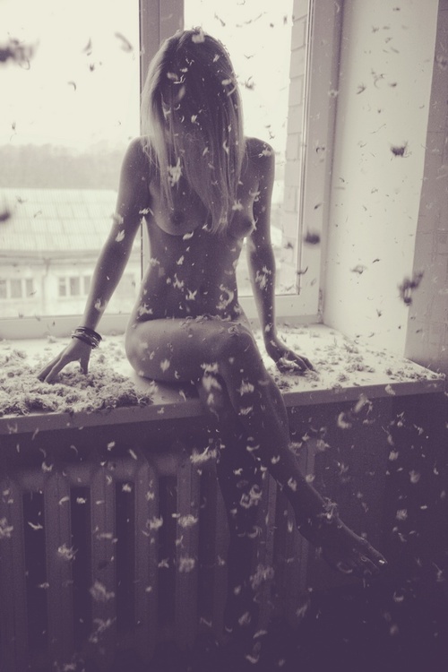 Erotic photo #630400