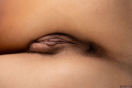 Erotic photo #543225