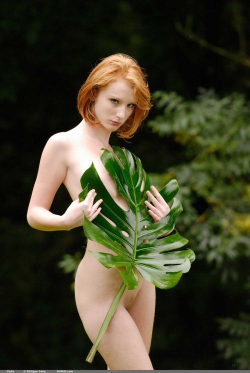 Erotic photo #698547