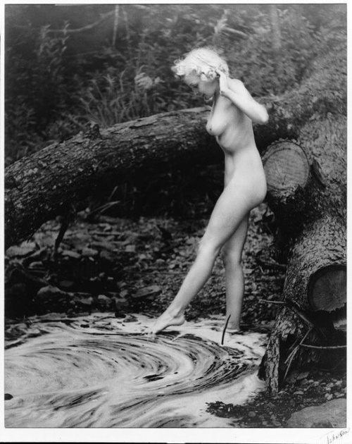 Erotic photo #785620