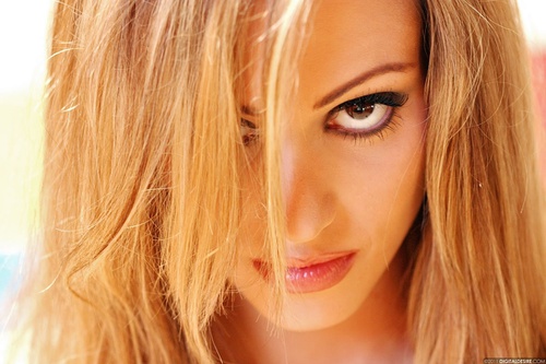 Erotic photo #1288010