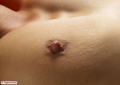 Erotic photo #1024051