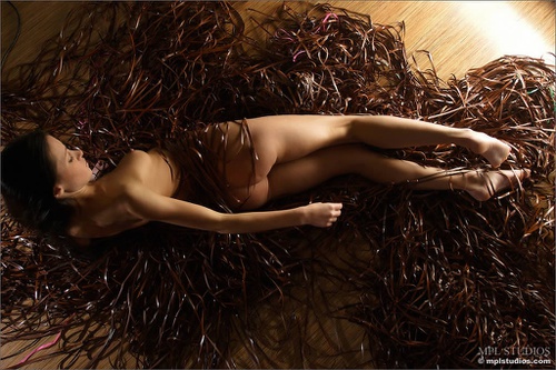 Erotic photo #1206063