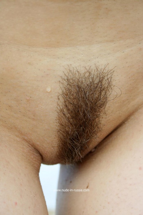 Erotic photo #1321551