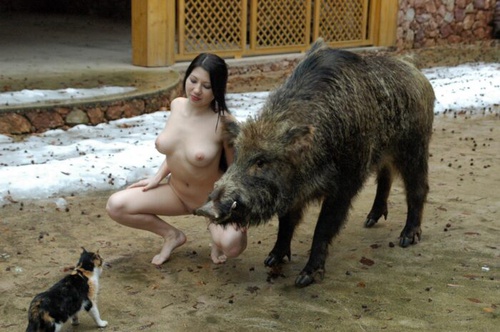 Erotic photo #1411734