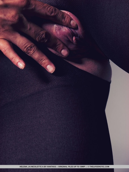 Erotic photo #1459130