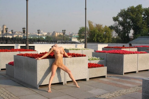 Erotic photo #1453989