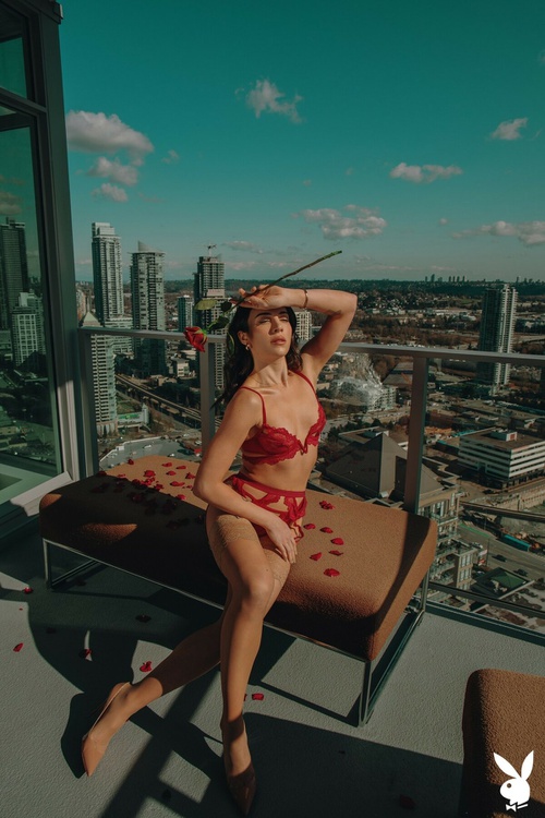 Erotic photo #1485523